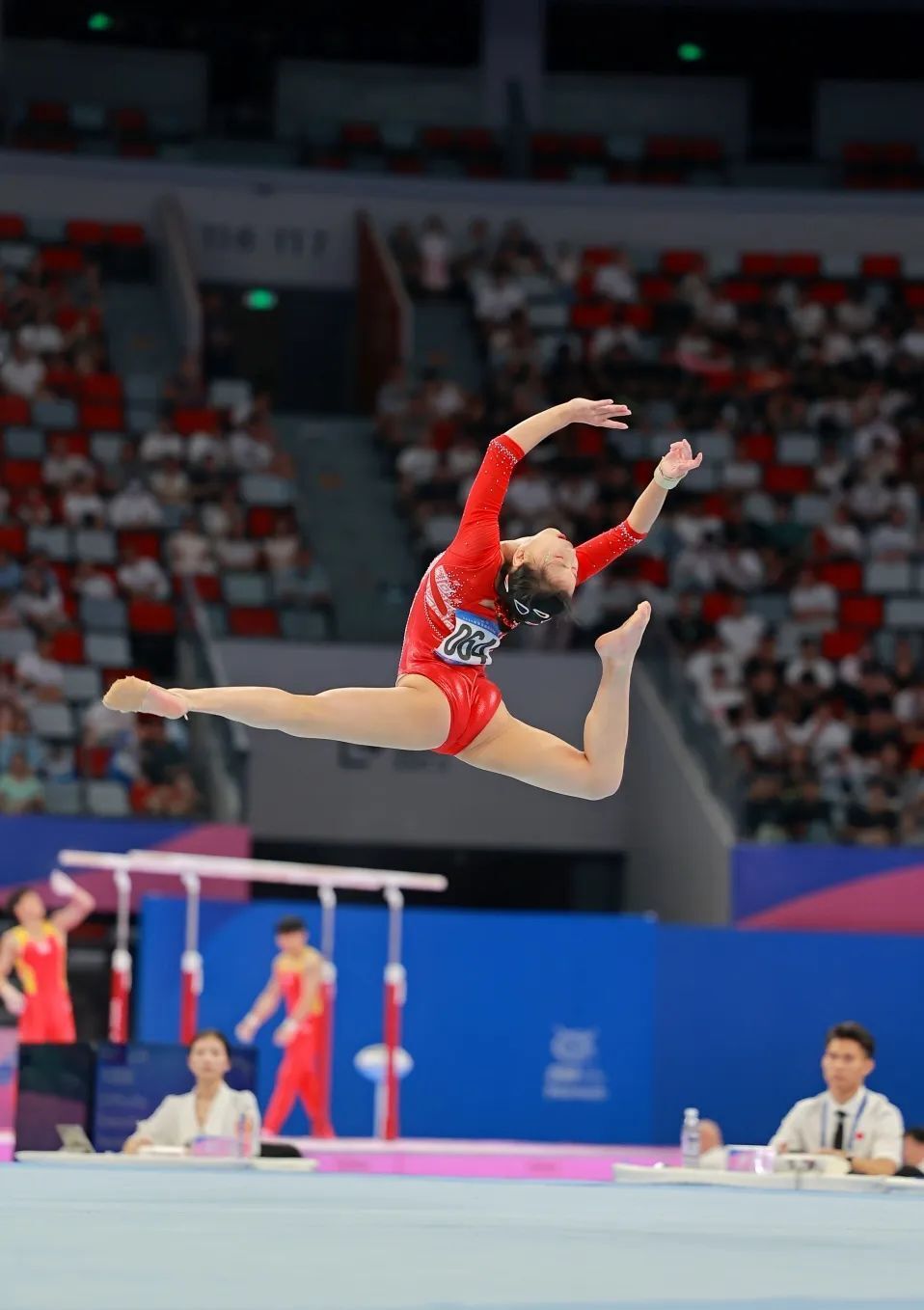 体操巨星再创辉煌,卫冕跳马冠军的简单介绍 体操巨星再创辉煌,卫冕跳马冠军的简单介绍