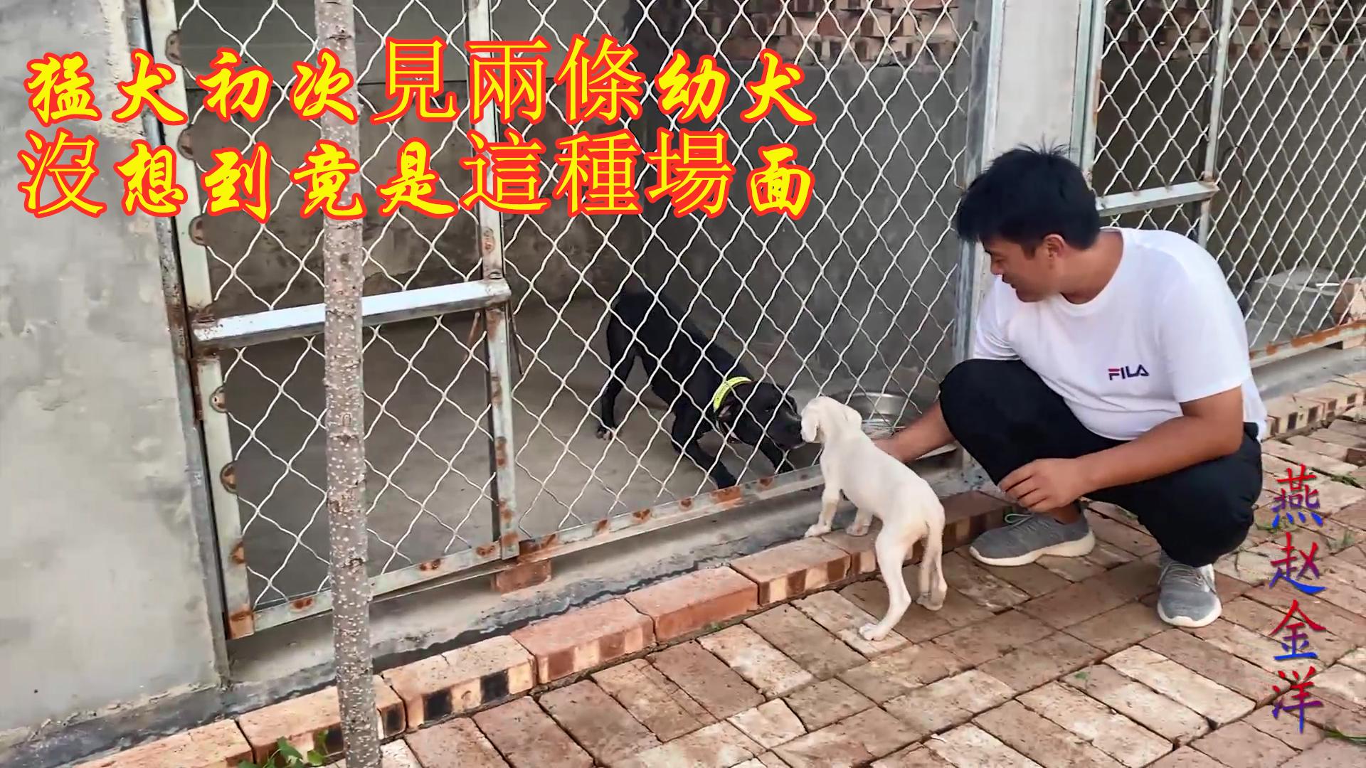 球队换帅步步紧逼,保级大战一触即发的简单介绍 球队换帅步步紧逼,保级大战一触即发的简单介绍