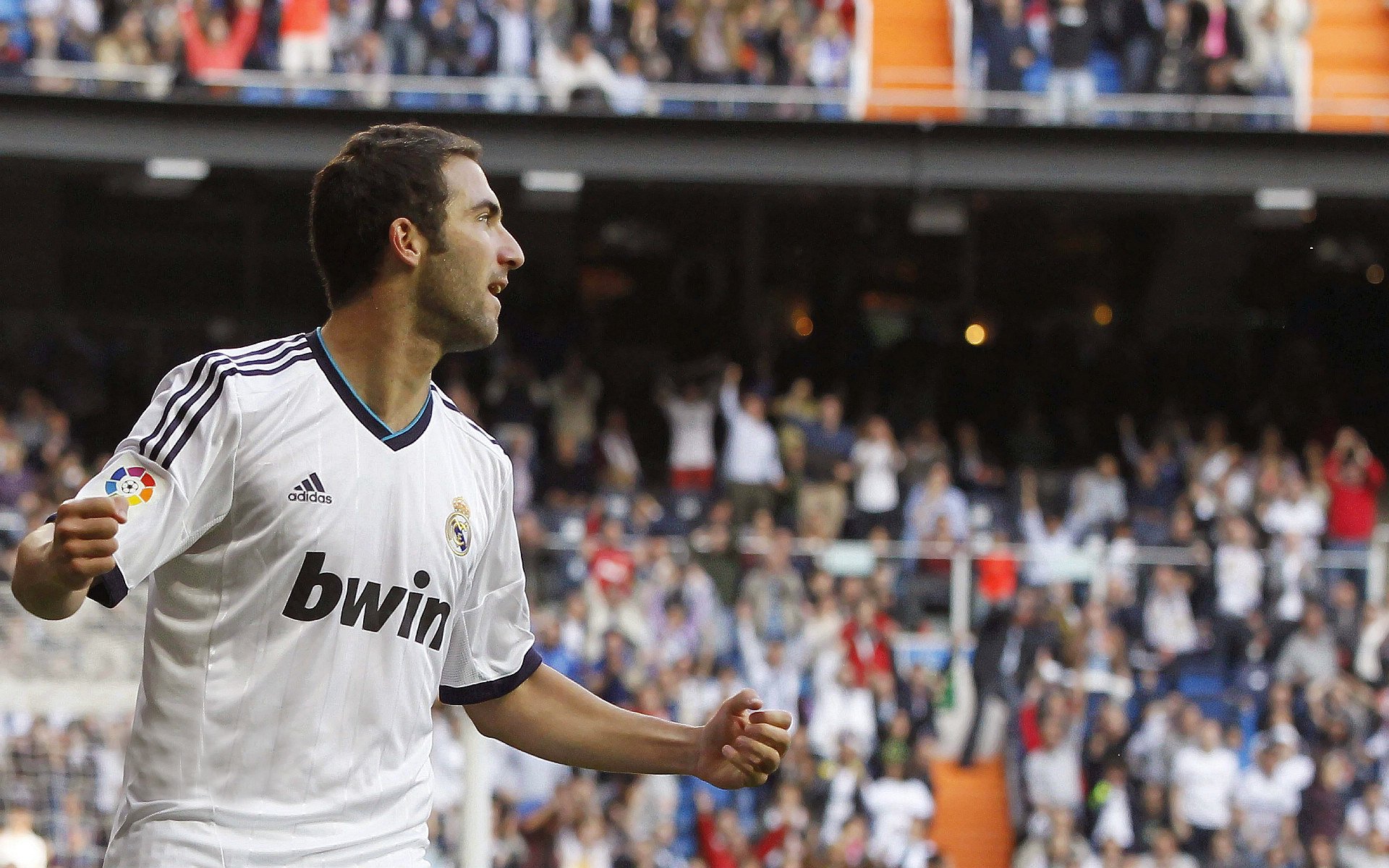 卢卡库刷新纪录之夜,阿尔及利亚的罗马之影